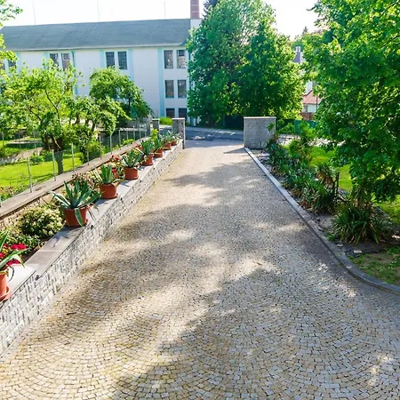 Kotyza 4*